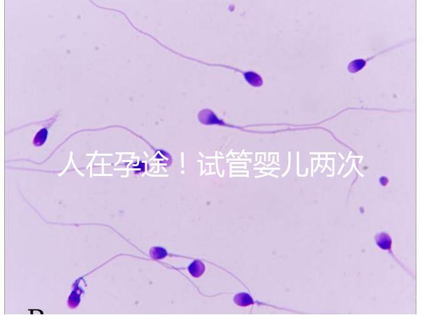 人在孕途！試管嬰兒兩次胎停育,了解這幾招能降低流產(chǎn)風(fēng)險