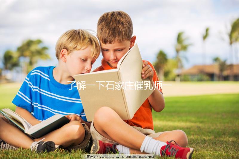 了解一下石家莊催乳師一次要多少錢(qián),2024找到合適的公司是關(guān)鍵