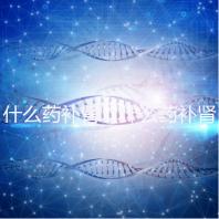 什么藥補腎(什么藥補腎壯陽效果最好)