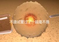 不造試管過了一超是不是就安全了,三點(diǎn)告訴你還會(huì)不會(huì)胎停
