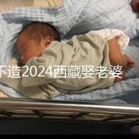 不造2024西藏娶老婆彩禮多少？日喀則、拉薩標準不同戳