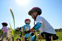 一代二代三代試管區別科普表演(一代二代三代試管什么區別)