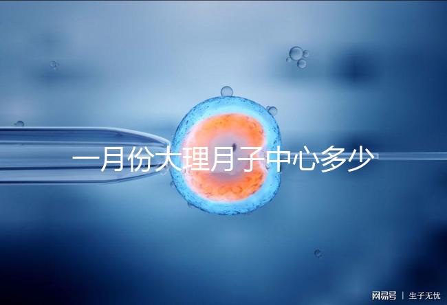 一月份大理月子中心多少錢早知道，2024年排名前十的機構