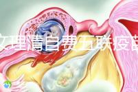 一文理清自費五聯疫苗接種必要性，新生兒打有這些好處