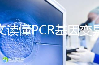 一文讀懂PCR基因變異報告，解讀高通量測序染色體檢查