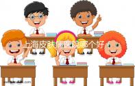 上海皮膚病醫院哪個好（上海哪家皮膚醫院最好）