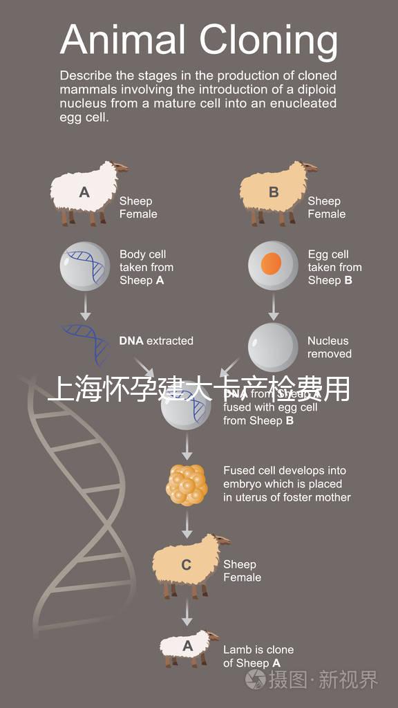 上海懷孕建大卡產檢費用分享,不同地區收費標準差別大!