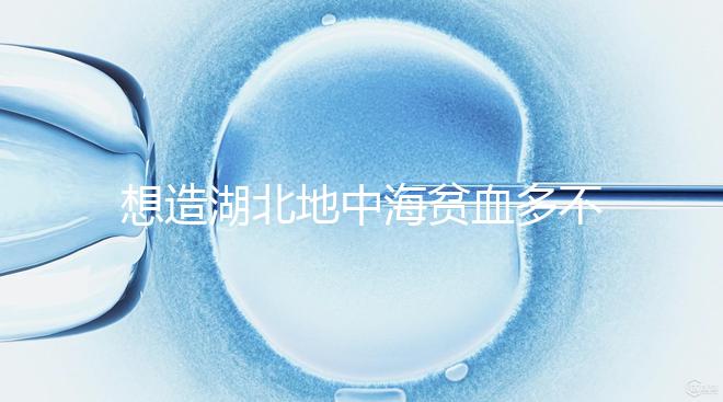 想造湖北地中海貧血多不多戳，武漢發病率高不高看這篇