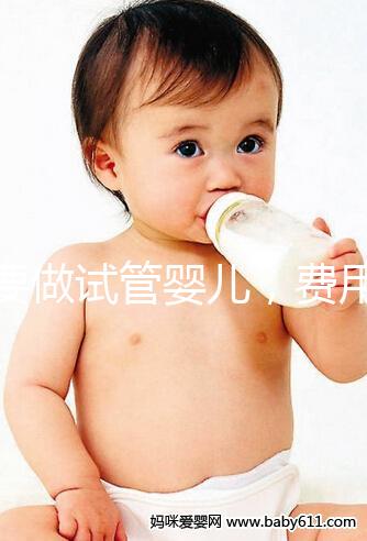 想要做試管嬰兒，費用預算大概是多少？