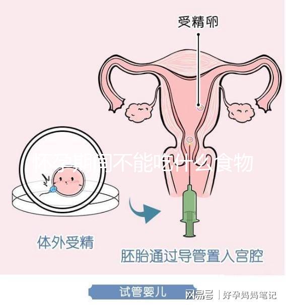 懷孕期間不能吃什么食物？