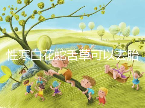 性寒白花蛇舌草可以去胎毒別亂吃！小心流產找上門