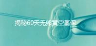 揭秘60天無卵黃空囊保胎成功表現，這些經典案例別錯過