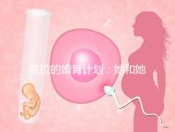 拉拉的婚育計劃:她和她相戀十幾年,終于在塞班結(jié)婚了!