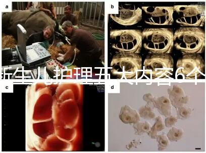 新生兒護(hù)理五大內(nèi)容6個(gè)要點(diǎn)整理，嬰兒養(yǎng)育照護(hù)干貨來了