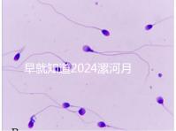 早就知道2024漯河月子中心的價格表了!媽咪悅只需要這個數字