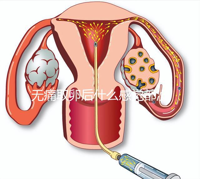 無痛取卵后什么感覺都沒有異常是謠言!只會(huì)出現(xiàn)一部分...