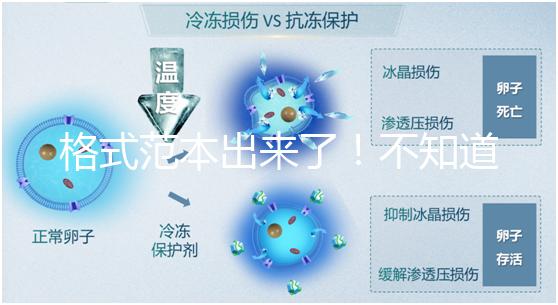 格式范本出來了！不知道出生證明遺失申請書怎么寫看這兒