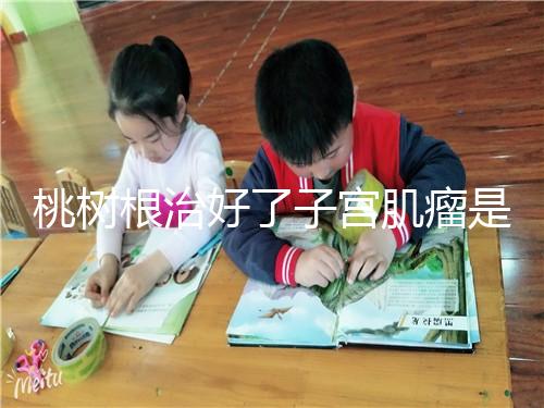 桃樹根治好了子宮肌瘤是謠言？和豬肉一起吃效果真不賴