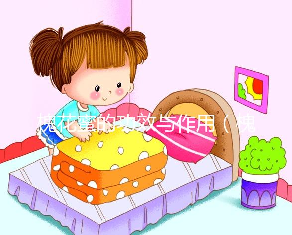 槐花蜜的功效與作用(槐花蜜是熱性還是涼性)