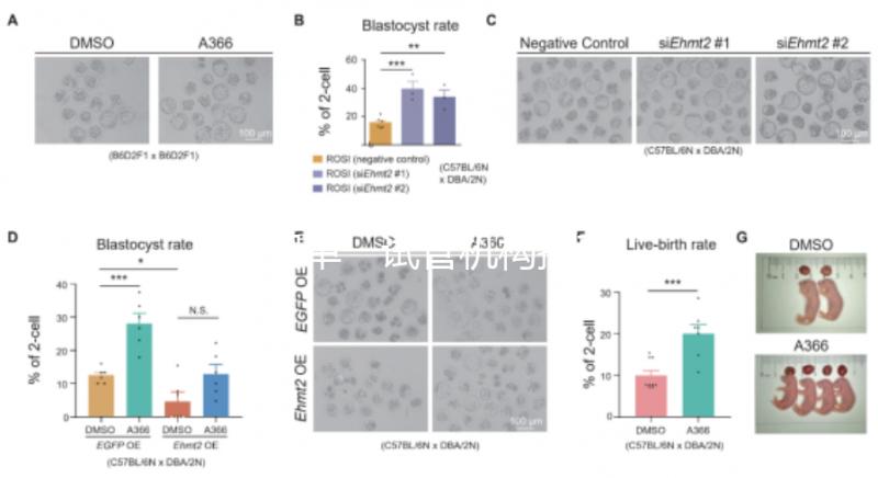 泰國(guó)單一試管機(jī)構(gòu)推薦，標(biāo)準(zhǔn)、流程和費(fèi)用清單，實(shí)現(xiàn)你的生育夢(mèng)想