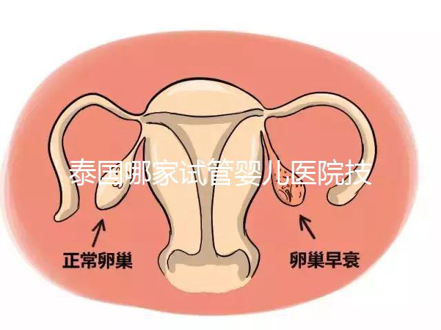 泰國哪家試管嬰兒醫(yī)院技術好？這些醫(yī)院排名前三