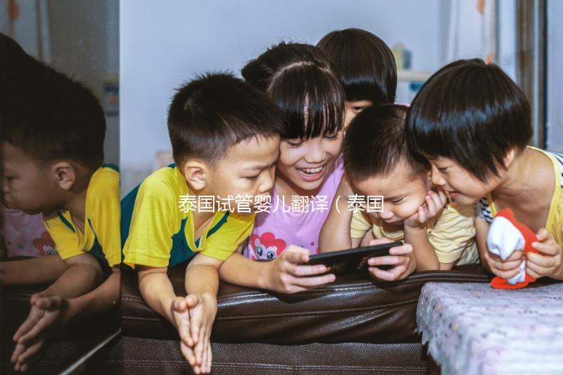 泰國試管嬰兒翻譯（泰國試管嬰兒翻譯費(fèi)用）