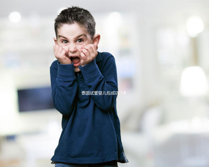 泰國試管嬰兒包成功?BNH談失敗,不懷孕就退款是騙局