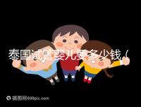 泰國(guó)試管嬰兒要多少錢(qián)(泰國(guó)試管嬰兒要多少錢(qián)一次現(xiàn)在還能做嗎)