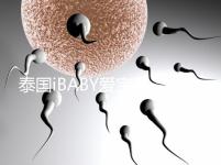 泰國(guó)iBABY愛寶貝:中介不輕信,甄別試管嬰兒真假宣傳