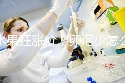 水果狂漲價，卵泡少怎么吃對卵子質量好？不妨看看這里