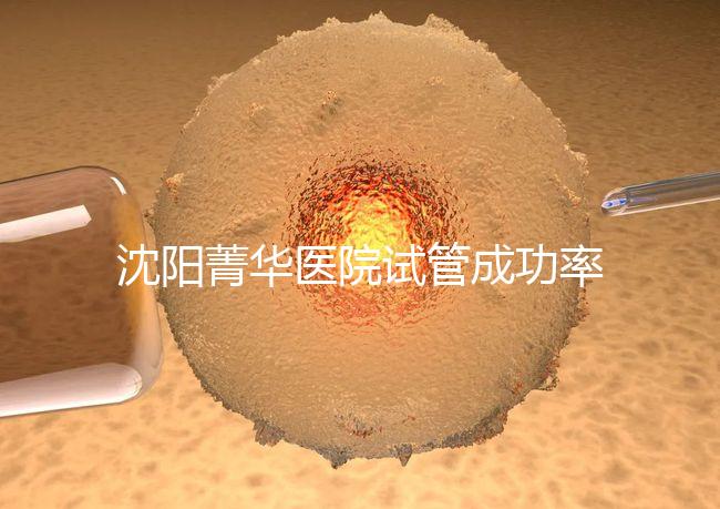 沈陽菁華醫院試管成功率高嗎？教你4招提升胚胎著床機會
