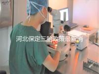 河北保定三胎政策最新消息2024,不造補(bǔ)貼怎么申請看過來