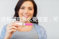 沒有子宮怎么要寶寶,可以做試管嬰兒嗎?