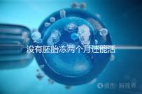 沒有胚胎凍兩個月還能活著嗎？60s會告訴你怎么樣？