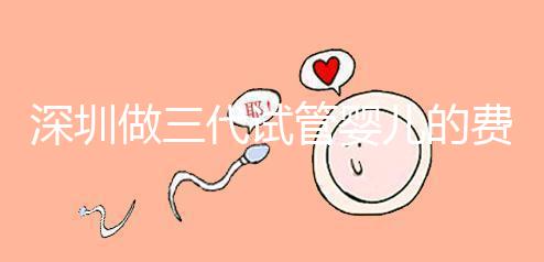 深圳做三代試管嬰兒的費用大概多少錢一次？