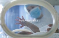 深圳北大醫(yī)院試管嬰兒(深圳北大醫(yī)院試管嬰兒要多少錢(qián))