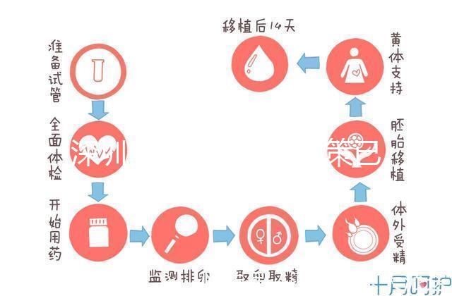 深圳最新獨生子女政策已出爐，羅湖、南山區補貼金均有提高
