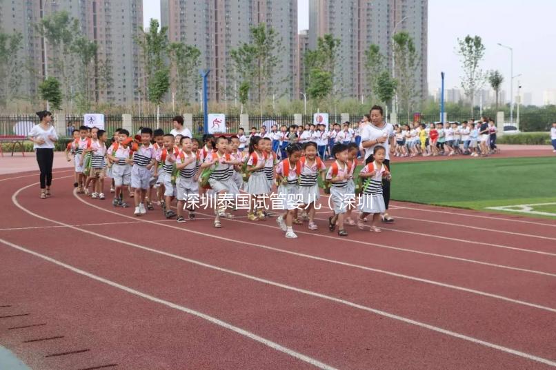 深圳泰國試管嬰兒（深圳泰國試管嬰兒技術(shù)）