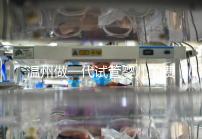 溫州做一代試管嬰兒的費用明細來了！2025年最新報價3