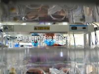 孕早期和孕晚期胎停前其實(shí)都有暗示信號,身體不會騙人