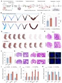 孩子想長高嗎？這個營養均衡的飲食秘籍，快來給你加娃安排吧！