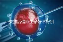 失獨后借卵生子好不好別還不造,供卵or領(lǐng)養(yǎng)過來人感受更深