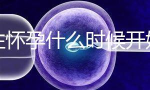 女性懷孕什么時候開始更準(zhǔn)確?