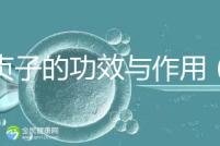 女貞子的功效與作用(女貞子是熱性還是寒性)