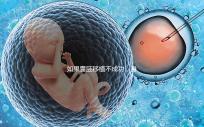 如果囊胚移植不成功,身體會有什么反應?除腹痛外,這三個方面也需要注意
