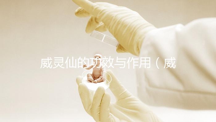 威靈仙的功效與作用(威靈仙主治什么病)