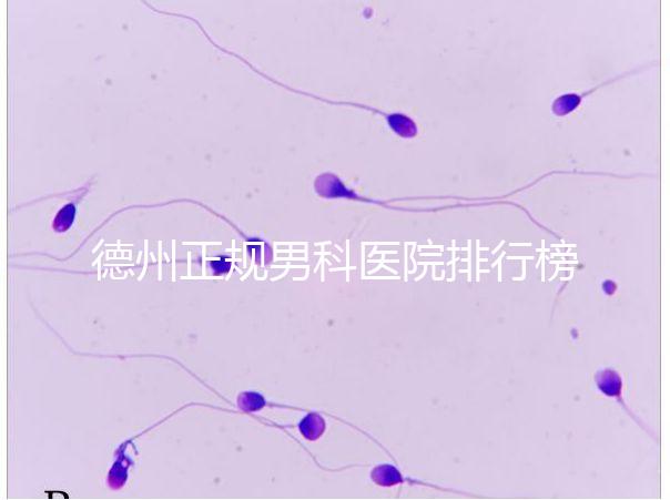 德州正規男科醫院排行榜分享！2024哪個最好一看便知