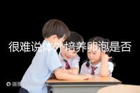 很難說(shuō)體外培養(yǎng)卵泡是否懷孕竇卵泡質(zhì)量高或100%實(shí)現(xiàn)夢(mèng)想