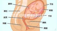 尺寸、價格都有硬性標準，選擇雙胞胎嬰兒床決不可大意！