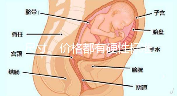 尺寸、價格都有硬性標準，選擇雙胞胎嬰兒床決不可大意！